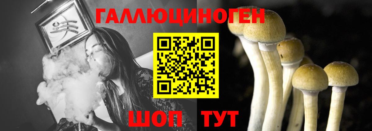 Псилоцибиновые грибы мицелий Дмитров